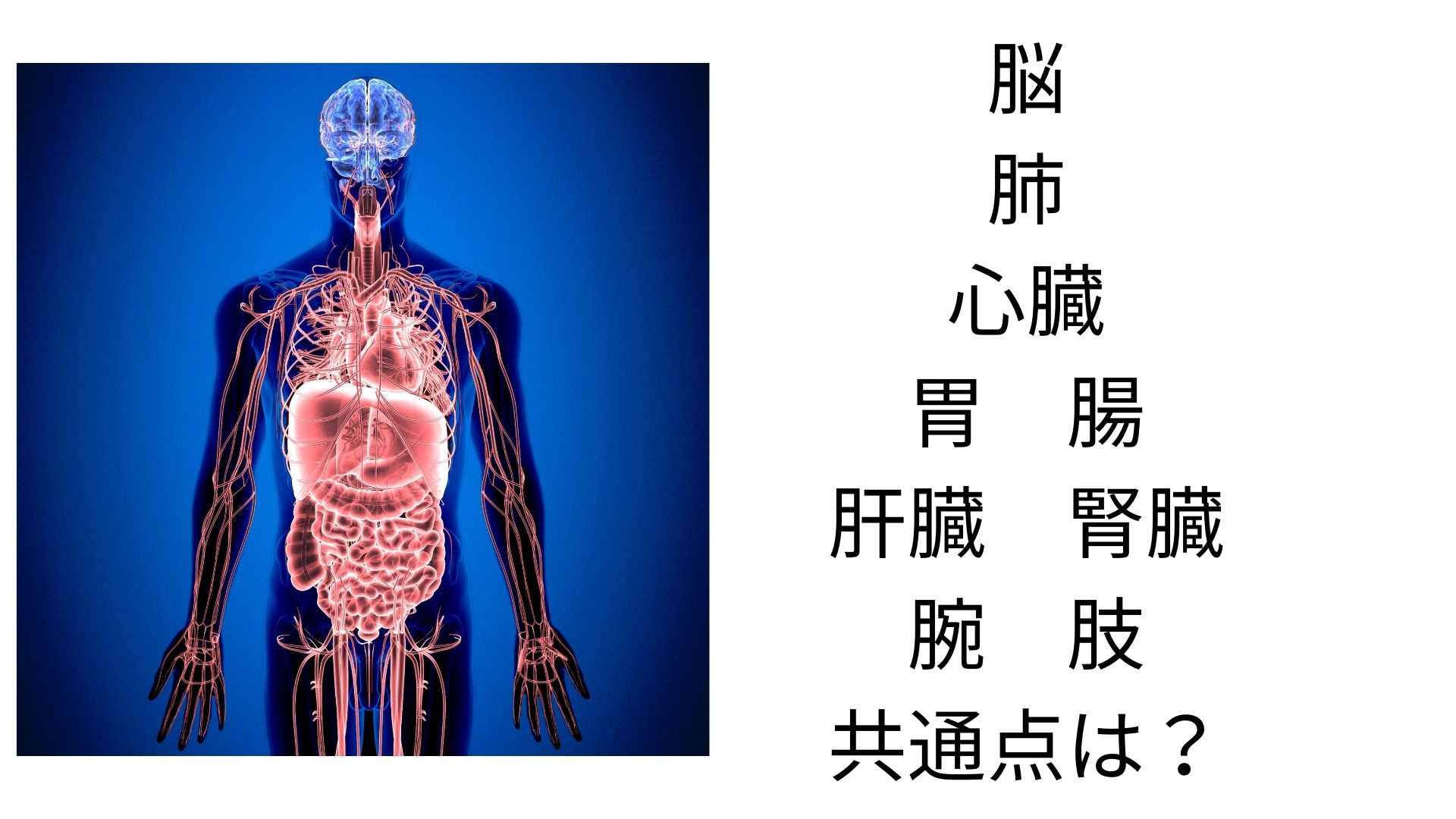 月っていったいなんなんだ　正体を解明する